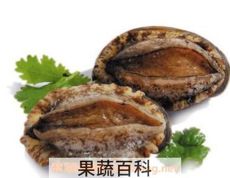 鲍鱼的功效与用处