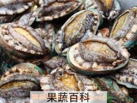 鲍鱼的功效与用处