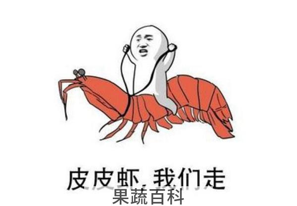 皮皮虾名字的由来，皮皮虾原来是网红艺名