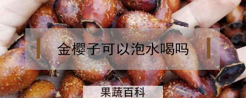 金樱子可以泡水喝吗