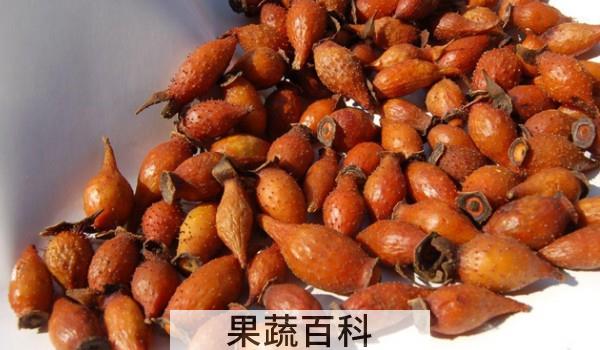 金樱子可以泡水喝吗