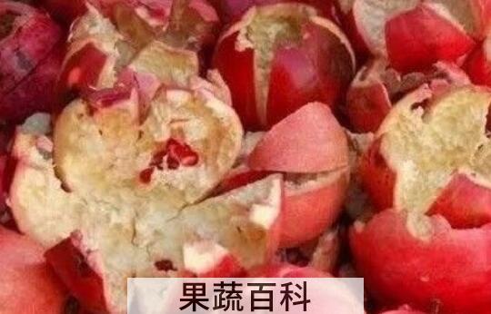 石榴皮泡水喝的禁忌 石榴皮煮水有毒是真的吗