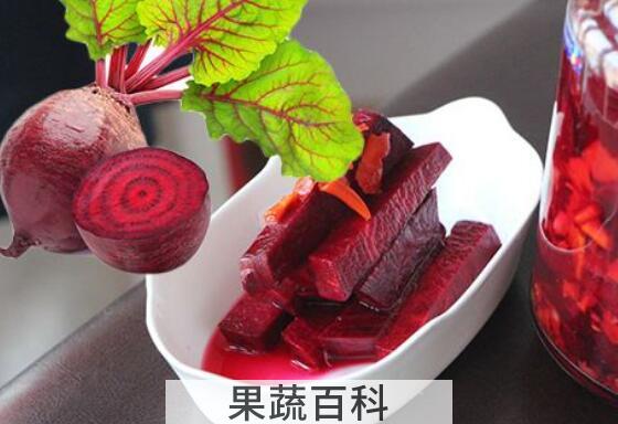 甜菜根的功效与作用