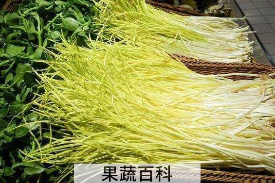 蒜黄的功效与作用及禁忌
