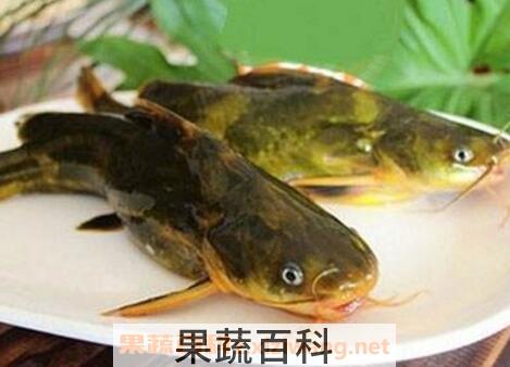 黄古鱼的功效与作用