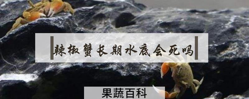 辣椒蟹长期水底会死吗