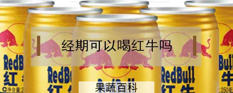 经期可以喝红牛吗