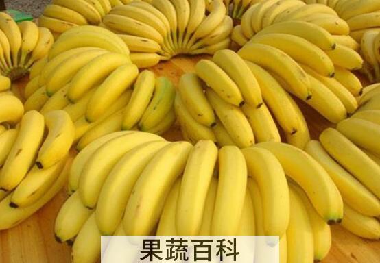 野蕉和香蕉有什么区别