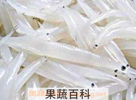 银鱼的营养价值及功效