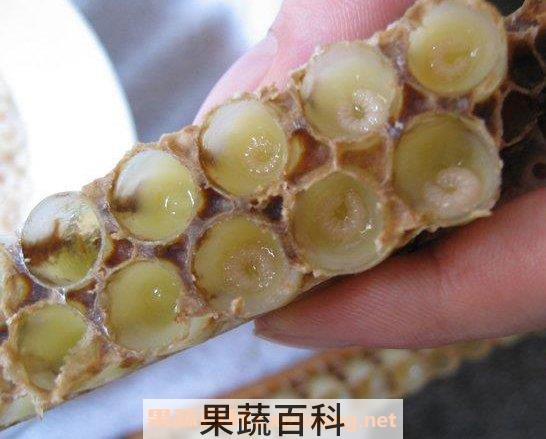 蜂王浆