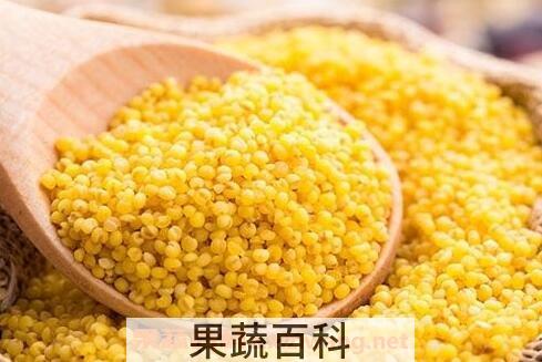 小米与黄米的区别 