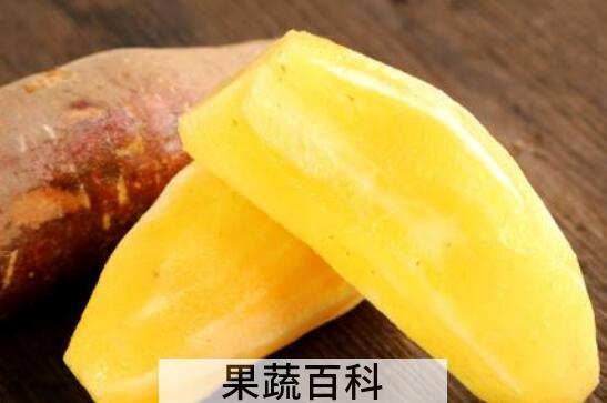 雪莲果的作用与功效及禁忌