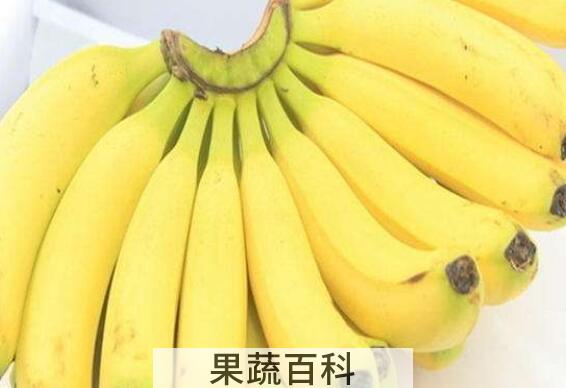 野蕉和香蕉有什么区别 吃野蕉的好处