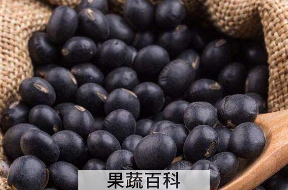 女性盲目吃黑豆的坏处 女性黑豆的好处