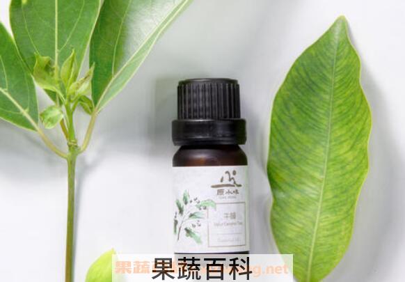 牛樟精油的功效与作用