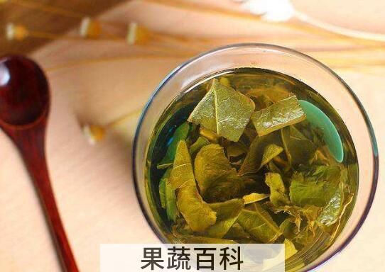冬瓜荷叶茶有什么作用
