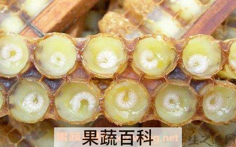 蜂王浆