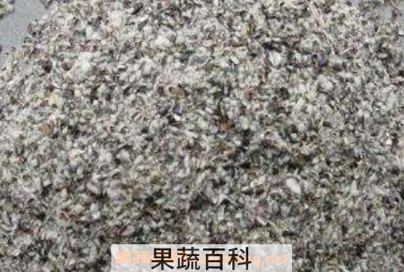 棉籽壳是什么 棉籽壳用途有哪些