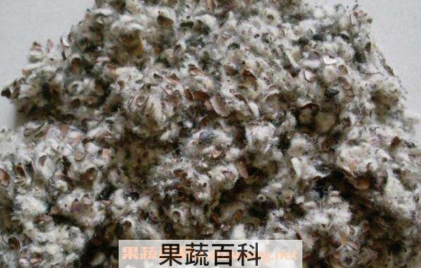 棉籽壳是什么 棉籽壳用途有哪些