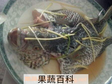 石斑鱼的功效与作用
