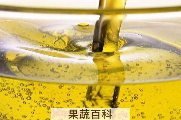 棉籽油对女性的危害 棉籽油对产妇的危害