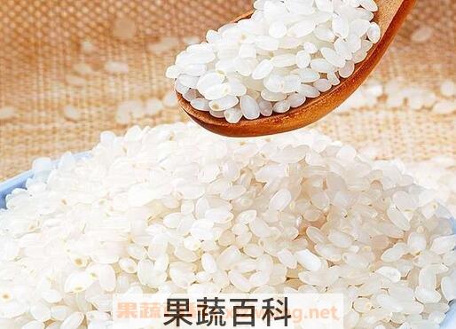 吃粳米会发胖吗