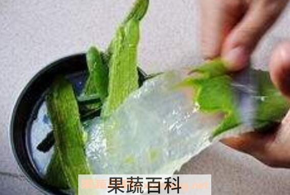 用芦荟擦脸的正确方法 新鲜芦荟可以直接擦脸吗