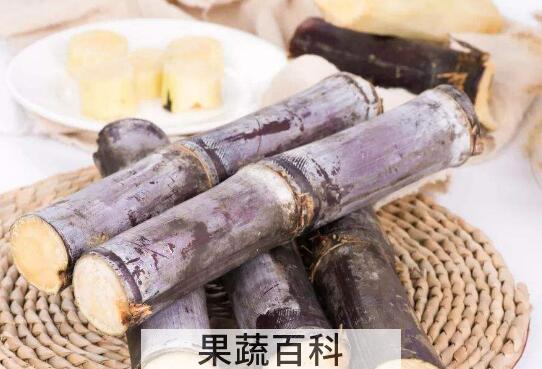甘蔗的功效与作用及禁忌