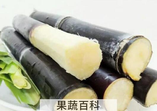 甘蔗的功效与作用及禁忌