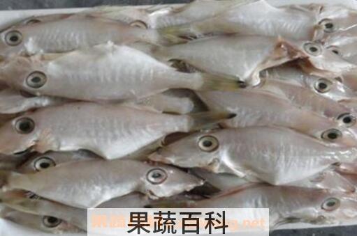 扒皮鱼的营养价值及功效