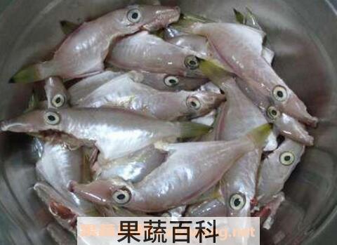 扒皮鱼的营养价值及功效