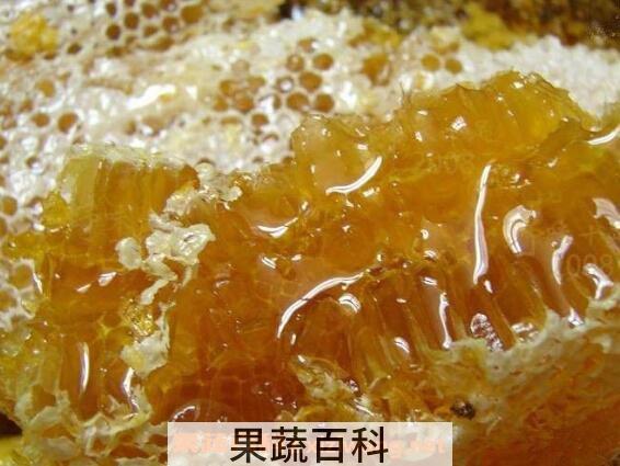 土蜂蜜