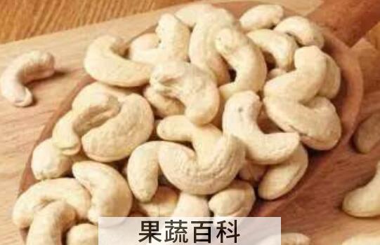 腰果的功效与作用及禁忌