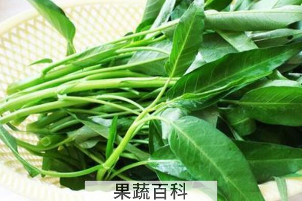 通心菜的功效与作用 通心菜的副作用