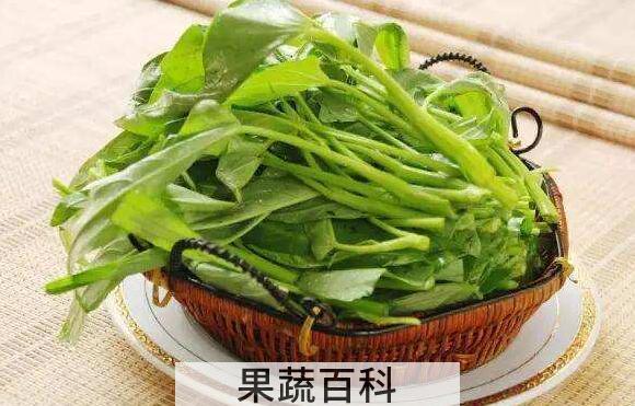 通心菜的食用方法 通心菜为什么不能吃多