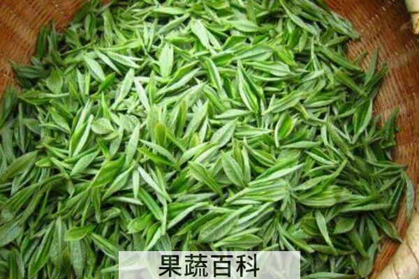 茶氨酸的危害 茶氨酸吃多的副作用
