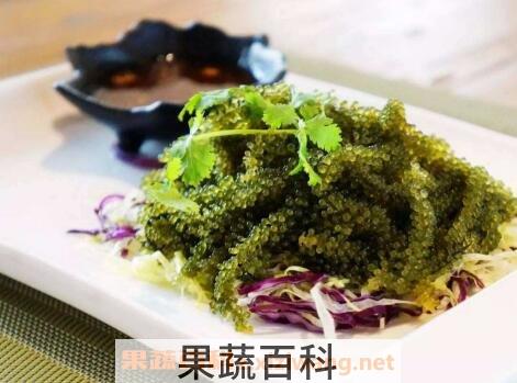 海葡萄的功效与作用