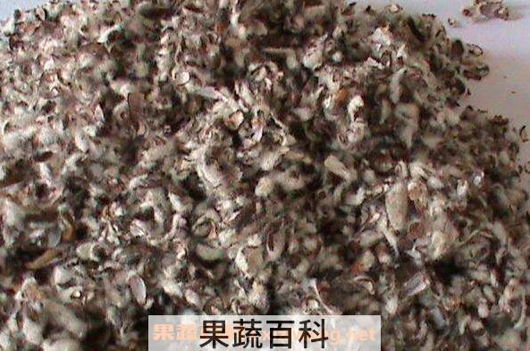 棉籽壳的功效与作用 棉籽壳的副作用