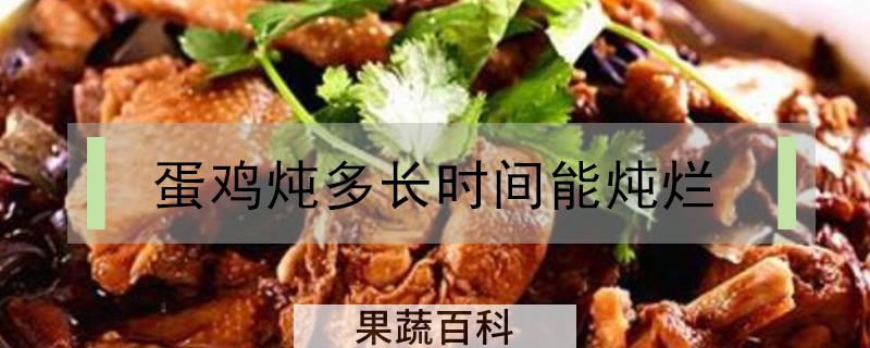 蛋鸡炖多长时间能炖烂