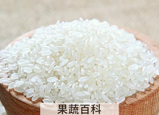 果蔬百科大米生虫怎么办
