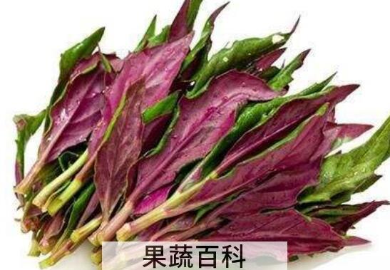 十大致癌蔬菜名单 这些致癌蔬菜要少吃