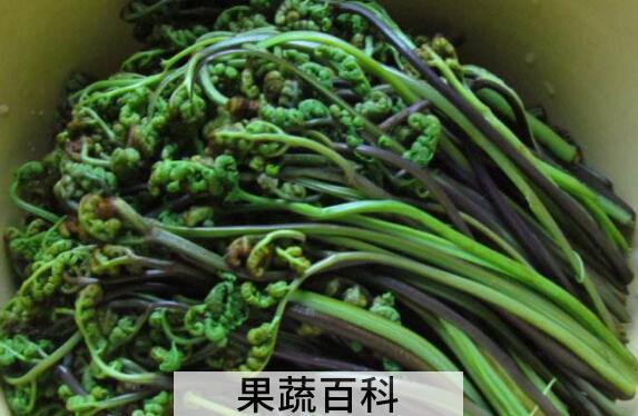 十大致癌蔬菜名单 这些致癌蔬菜要少吃