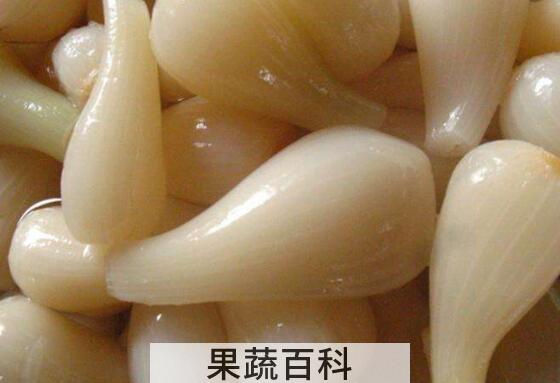 如何腌甜大蒜头 甜大蒜怎么腌制