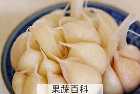 如何腌甜大蒜头 甜大蒜怎么腌制