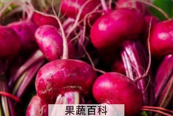 甜菜根怎么吃 甜菜根的常见吃法