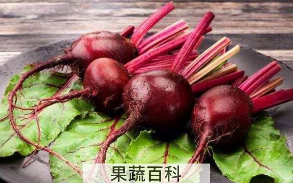 甜菜根怎么吃 甜菜根的常见吃法