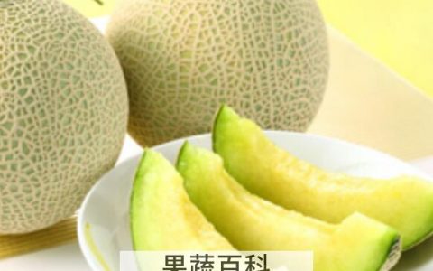 网纹瓜的功效与作用及禁忌