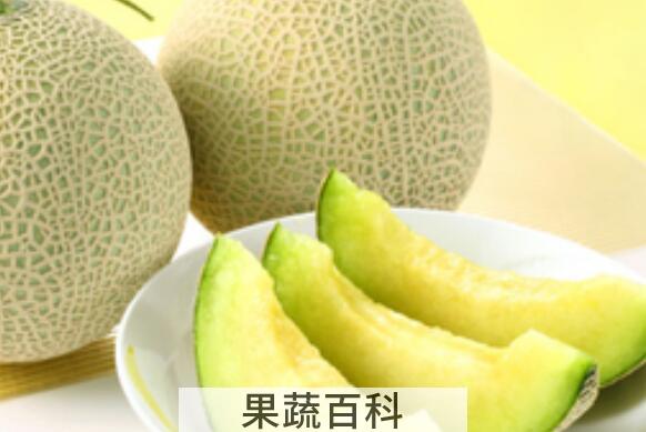 网纹瓜的功效与作用禁忌
