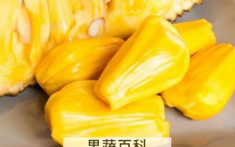 吃菠萝蜜的7大禁忌