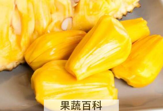 吃菠萝蜜的7大禁忌